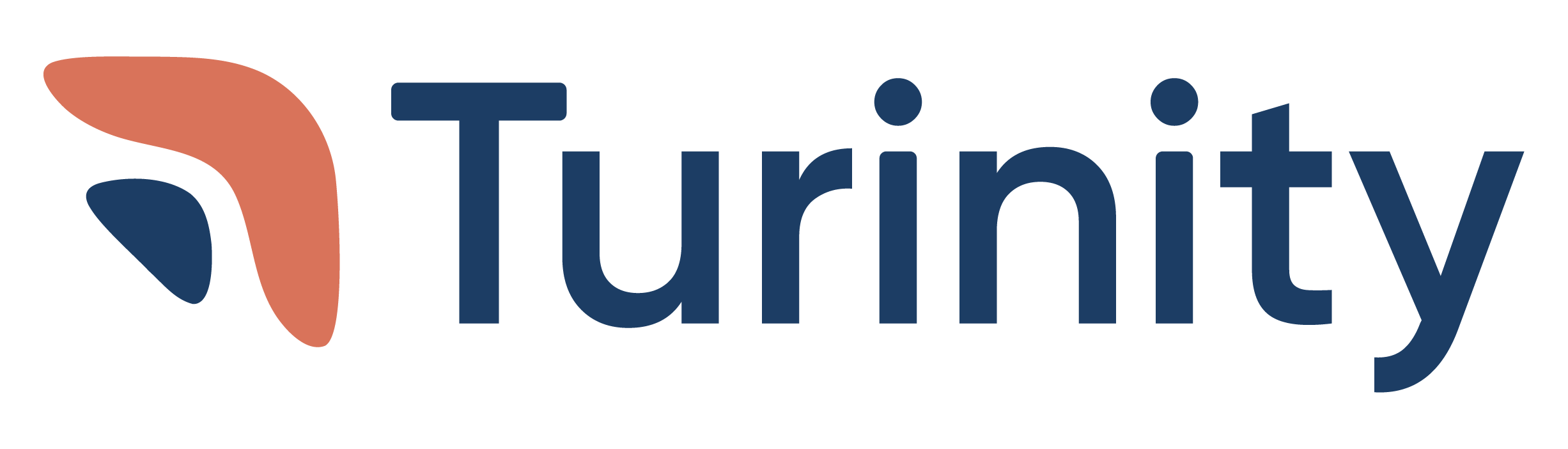 Turinity logo, Color variant