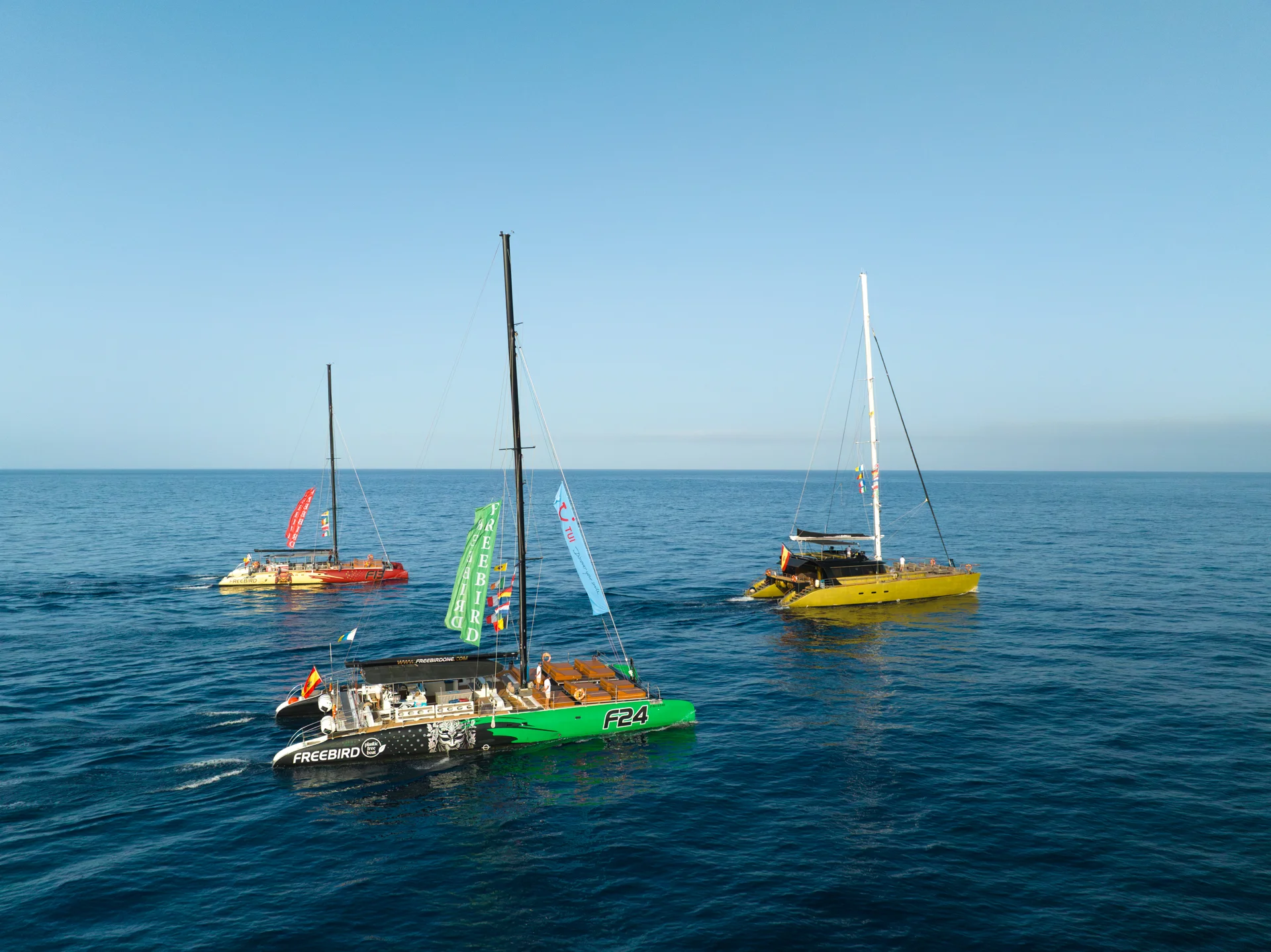Example of a high-quality activity photo